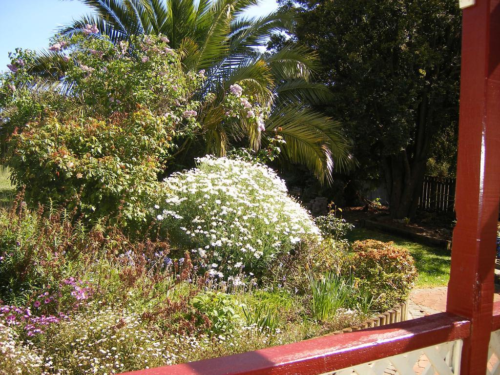 Belle Cottage 斯科茨代尔 外观 照片